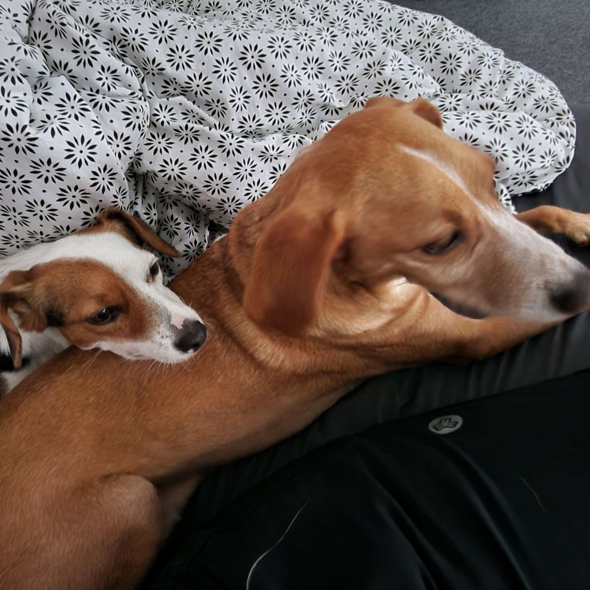 Herzlich willkommen zu meinem Blog