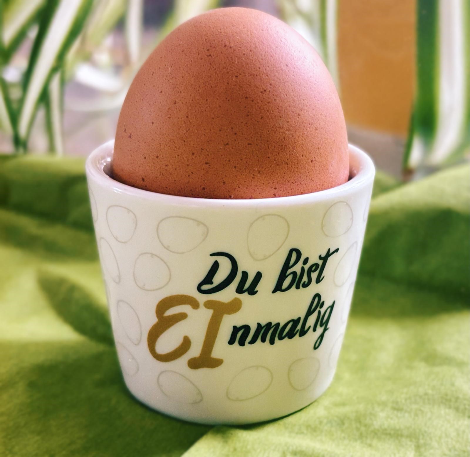 Ernährung, Sport & Gene